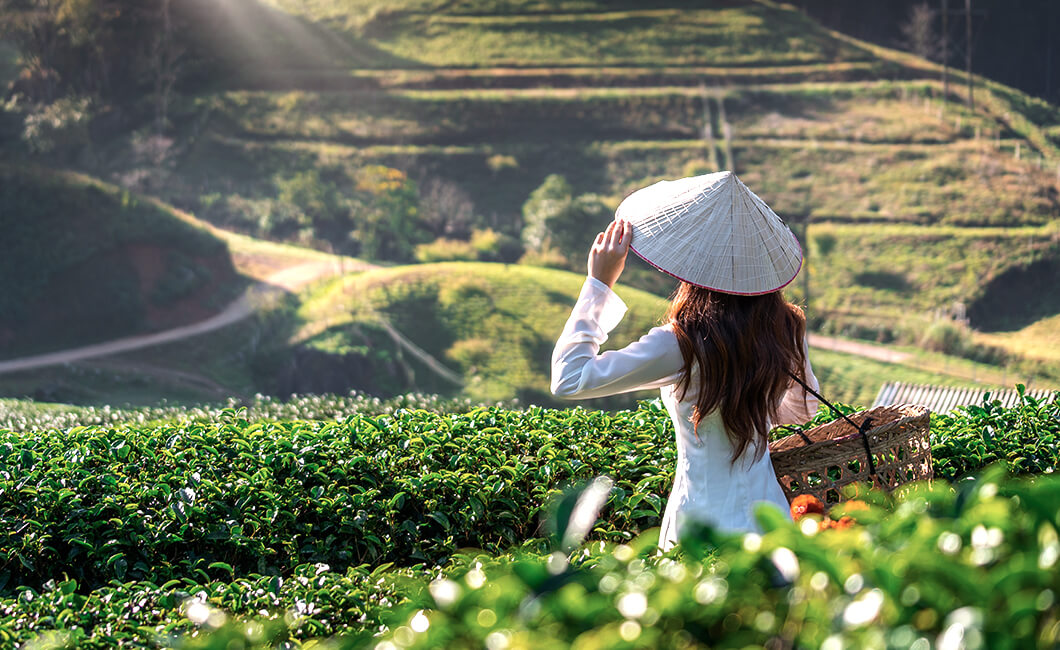 vietnam_weather